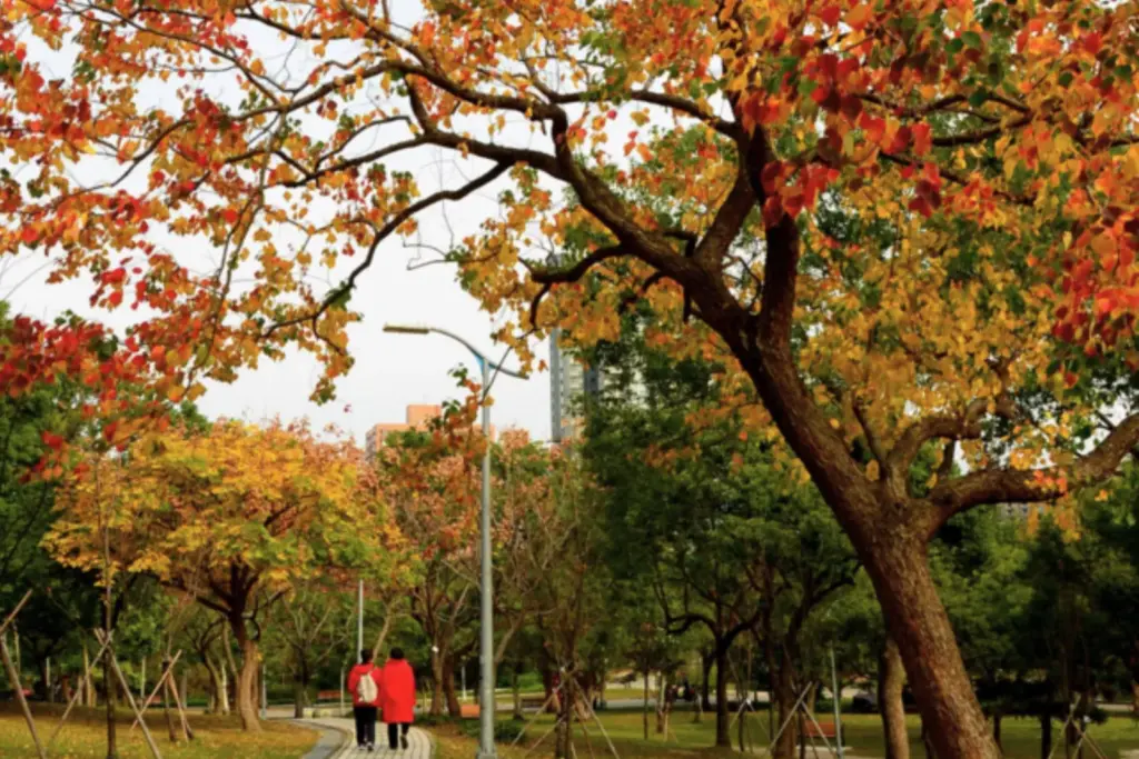 Photo Credit 永安旅遊